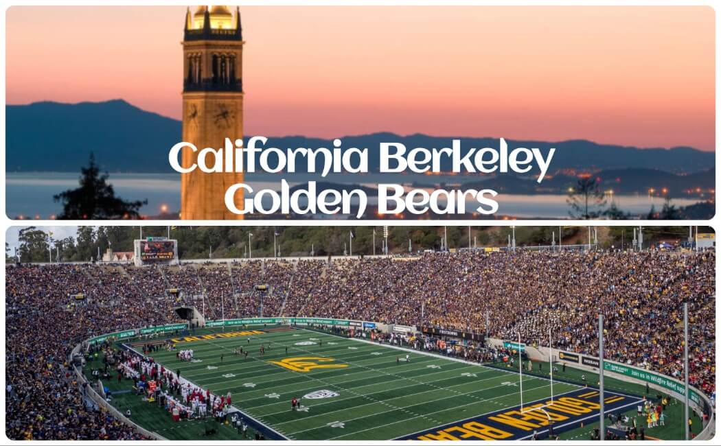 California Berkeley Golden Bears Bay Area Football & Basketball